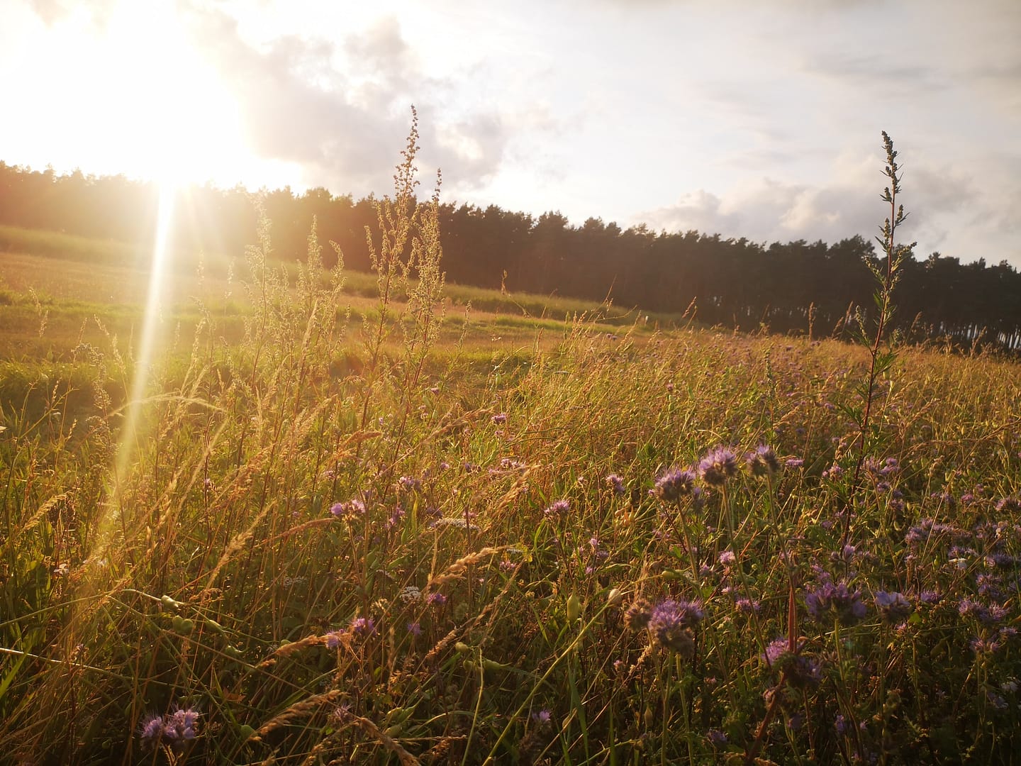 „Corona – Tied“ up’n Land’n 2020