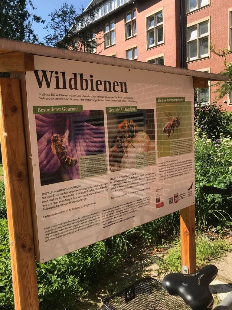 Bienen- und Insektenprojekt für 2021